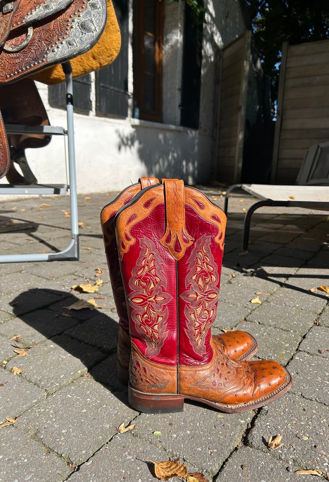 Bottes western, média 2