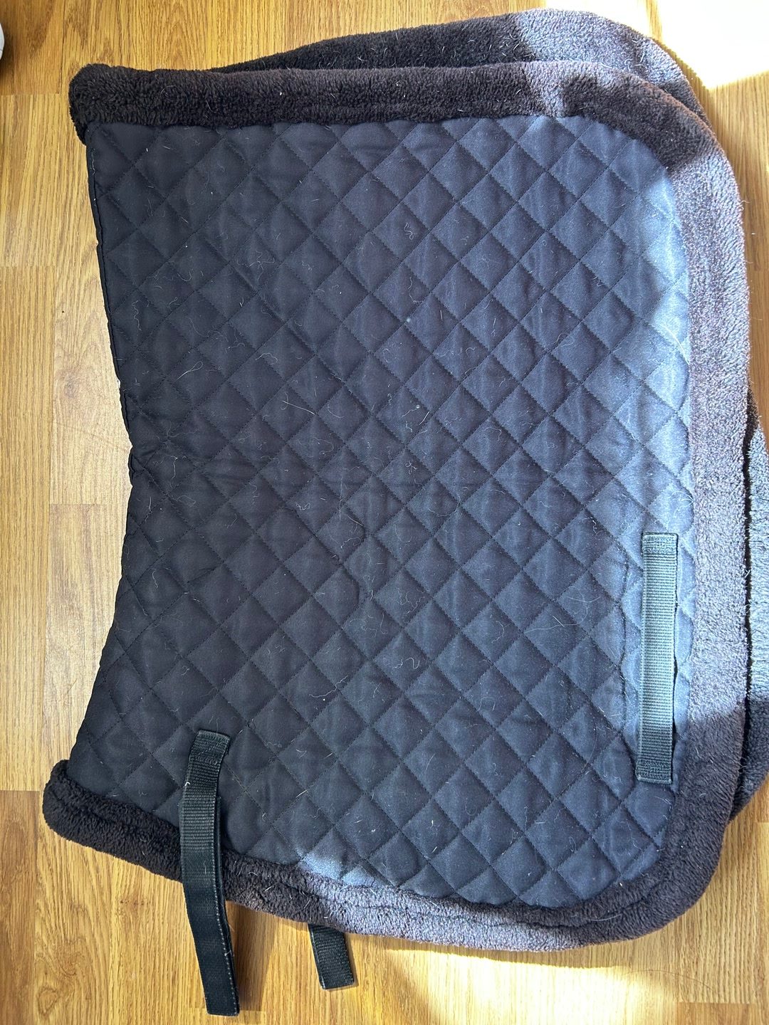 Tapis noir dressage taille cheval, média 2