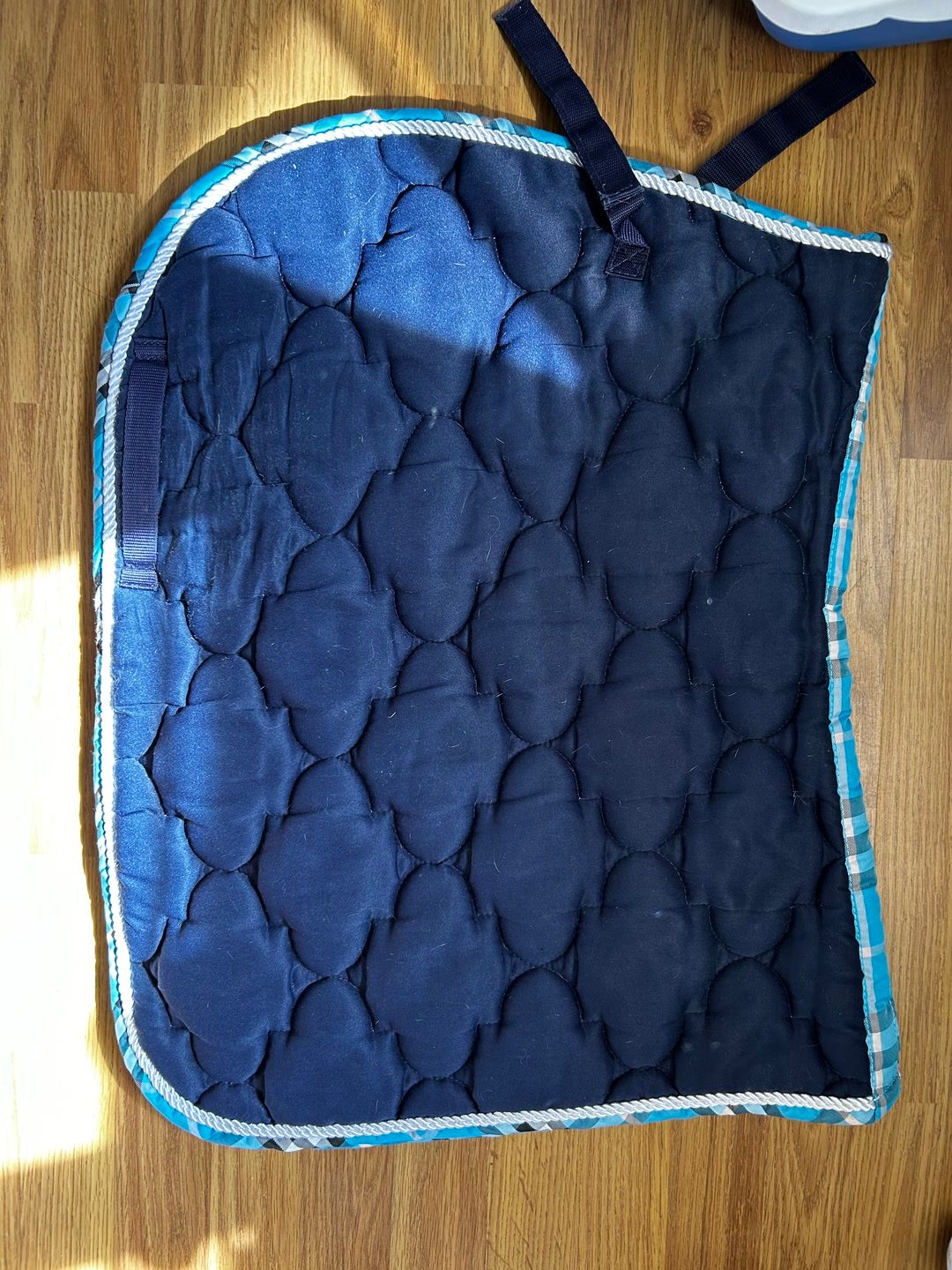 Tapis bleu taille cheval, média 2