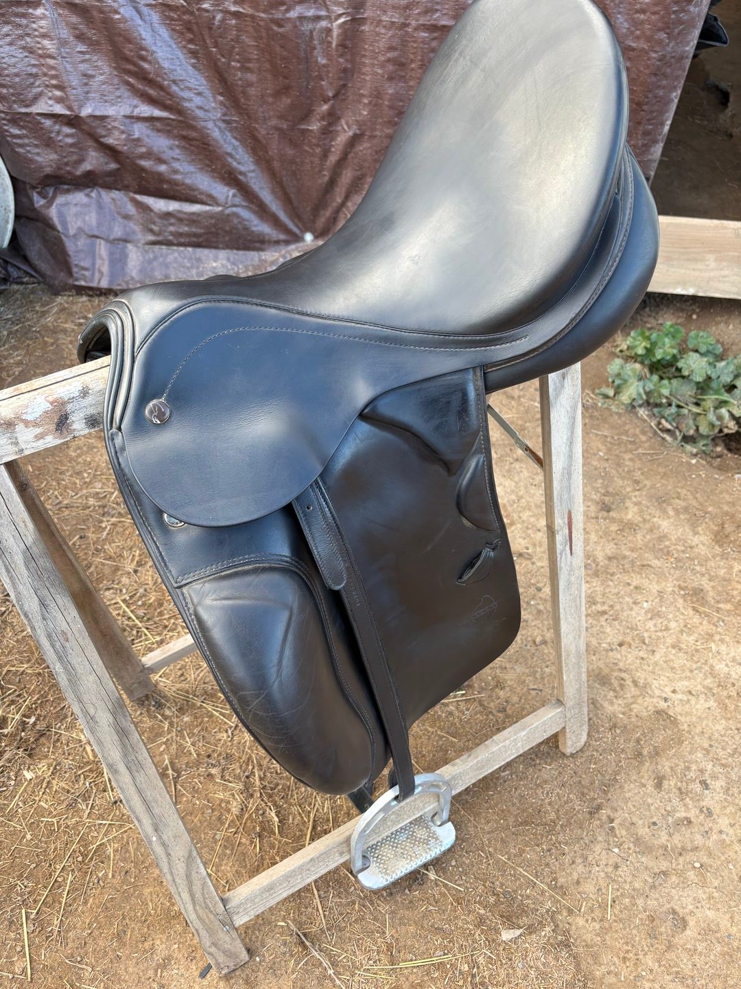 Selle de dresssage, média 8