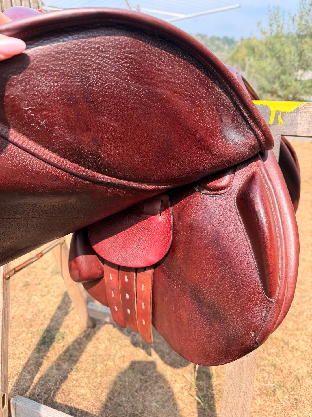 Selle équipe synergy 17” + étrivière, média 6