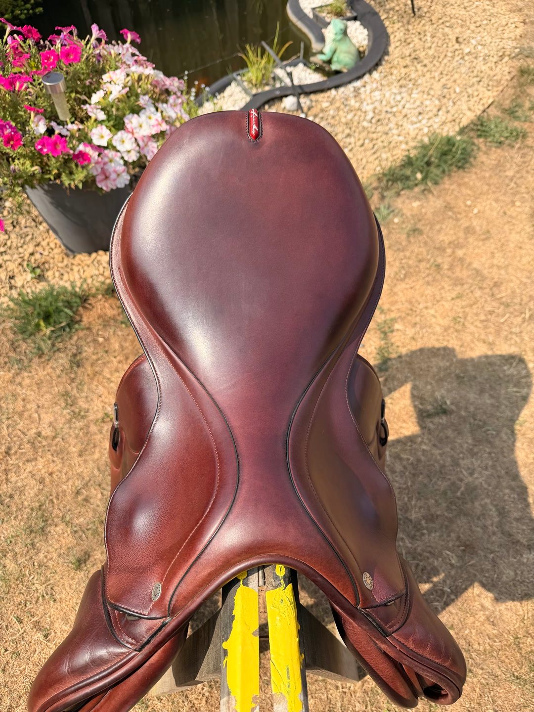 Selle équipe synergy 17” + étrivière, média 2