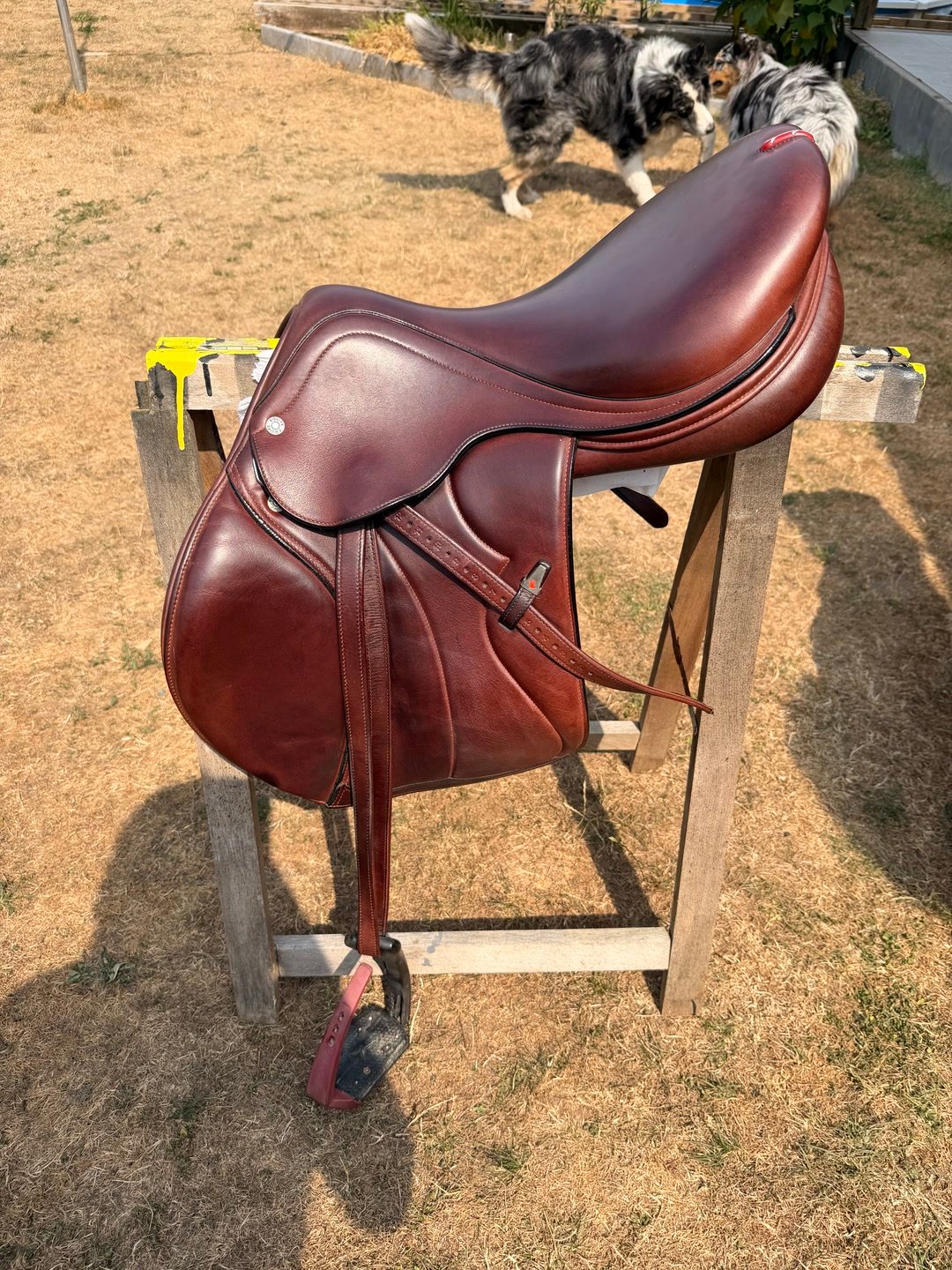 Selle équipe synergy 17” + étrivière, média 3