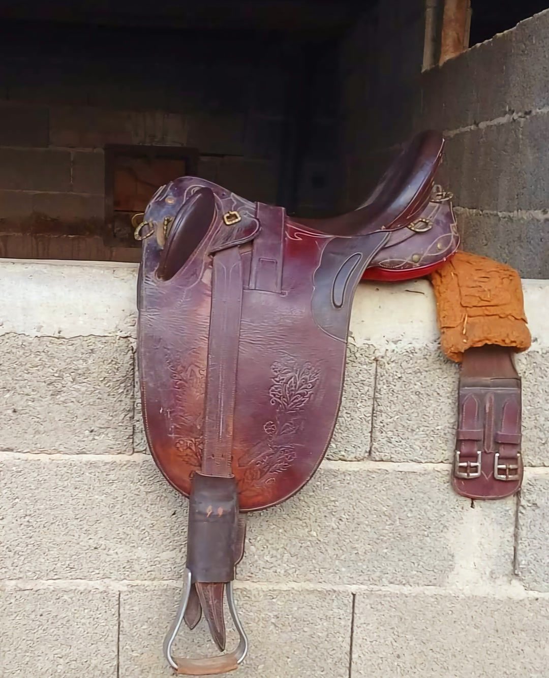 Selle de randonnée, média 2