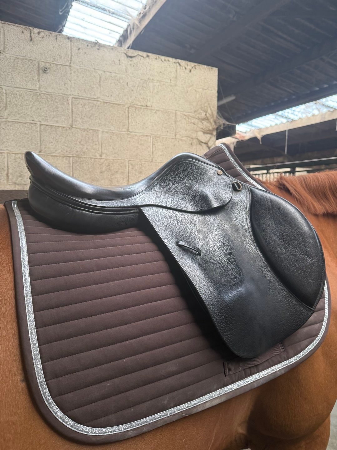 Selle, média 2