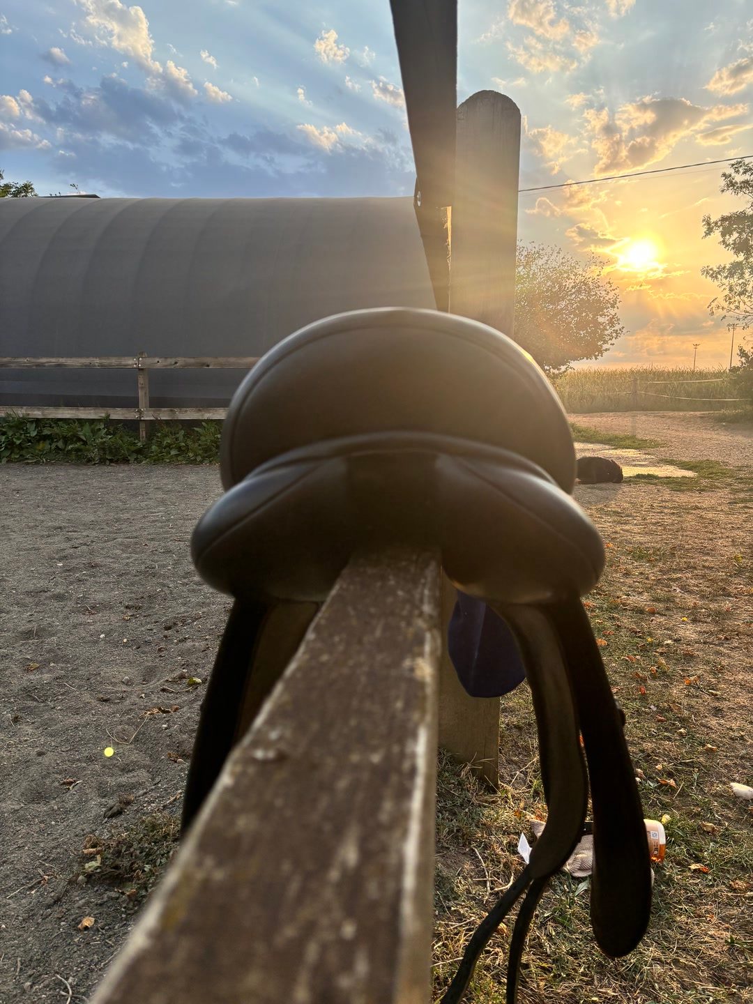 SELLE ERIC THOMAS DRESSAGE 17", média 2