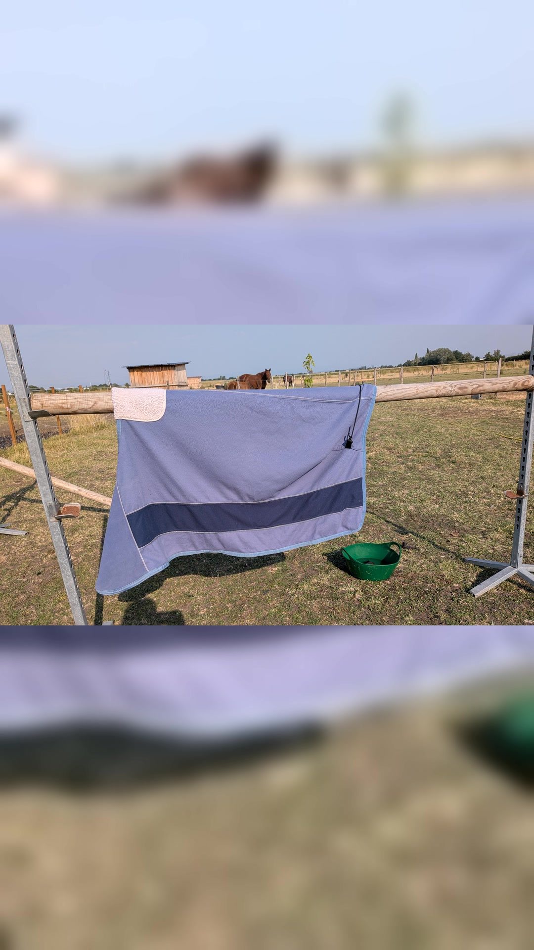 Chemise polaire poney, média 4
