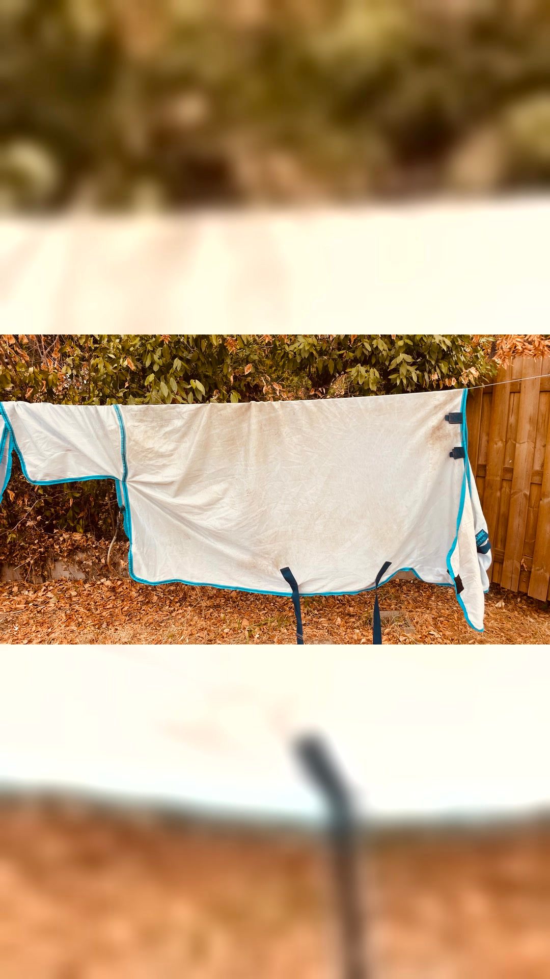 Horseware Amigo Bug Rug – 160 cm – couvre-cou amovible, média 7