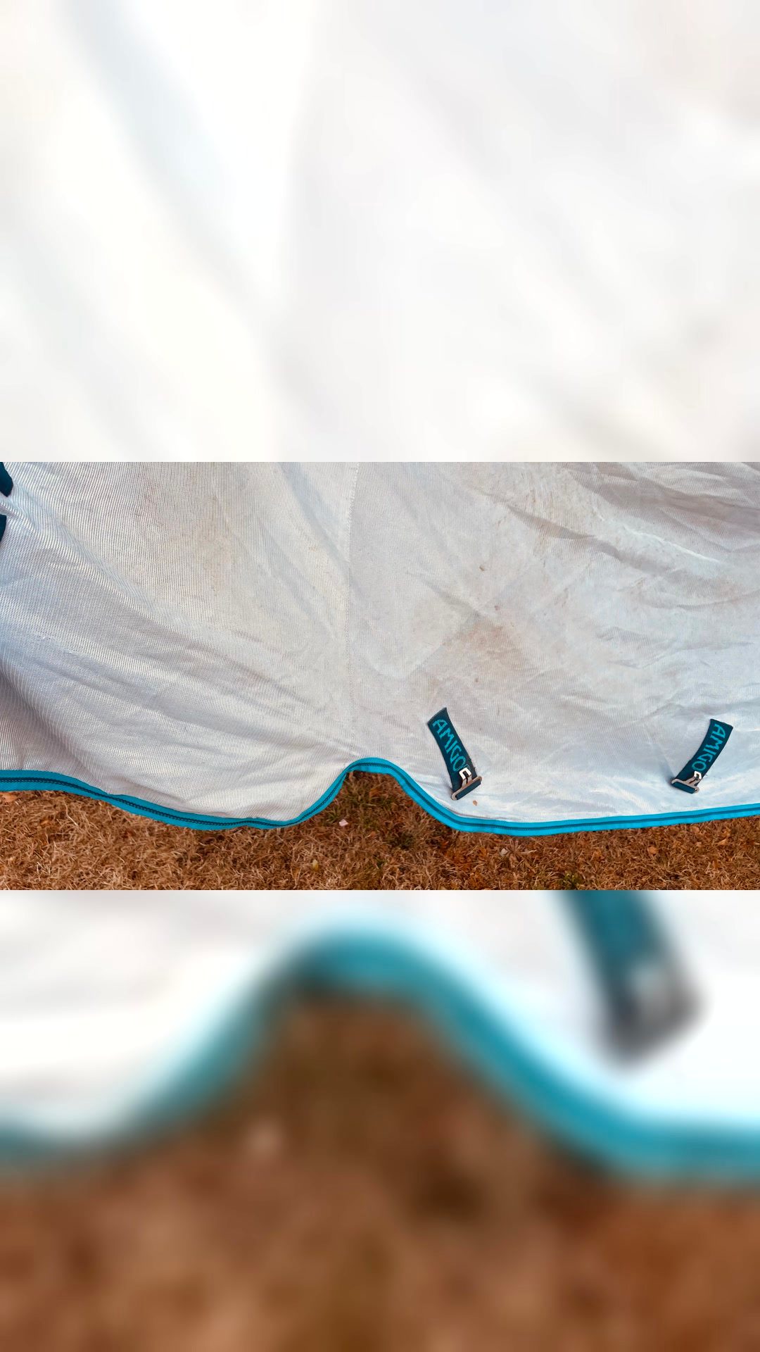 Horseware Amigo Bug Rug – 160 cm – couvre-cou amovible, média 5