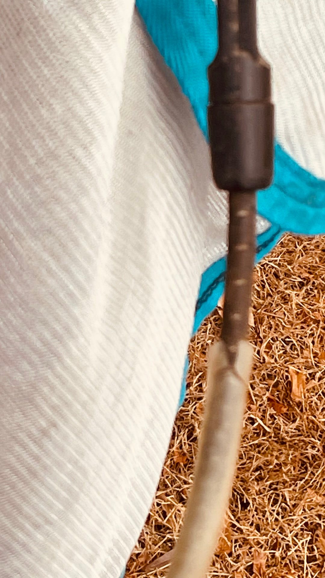 Horseware Amigo Bug Rug – 160 cm – couvre-cou amovible, média 6