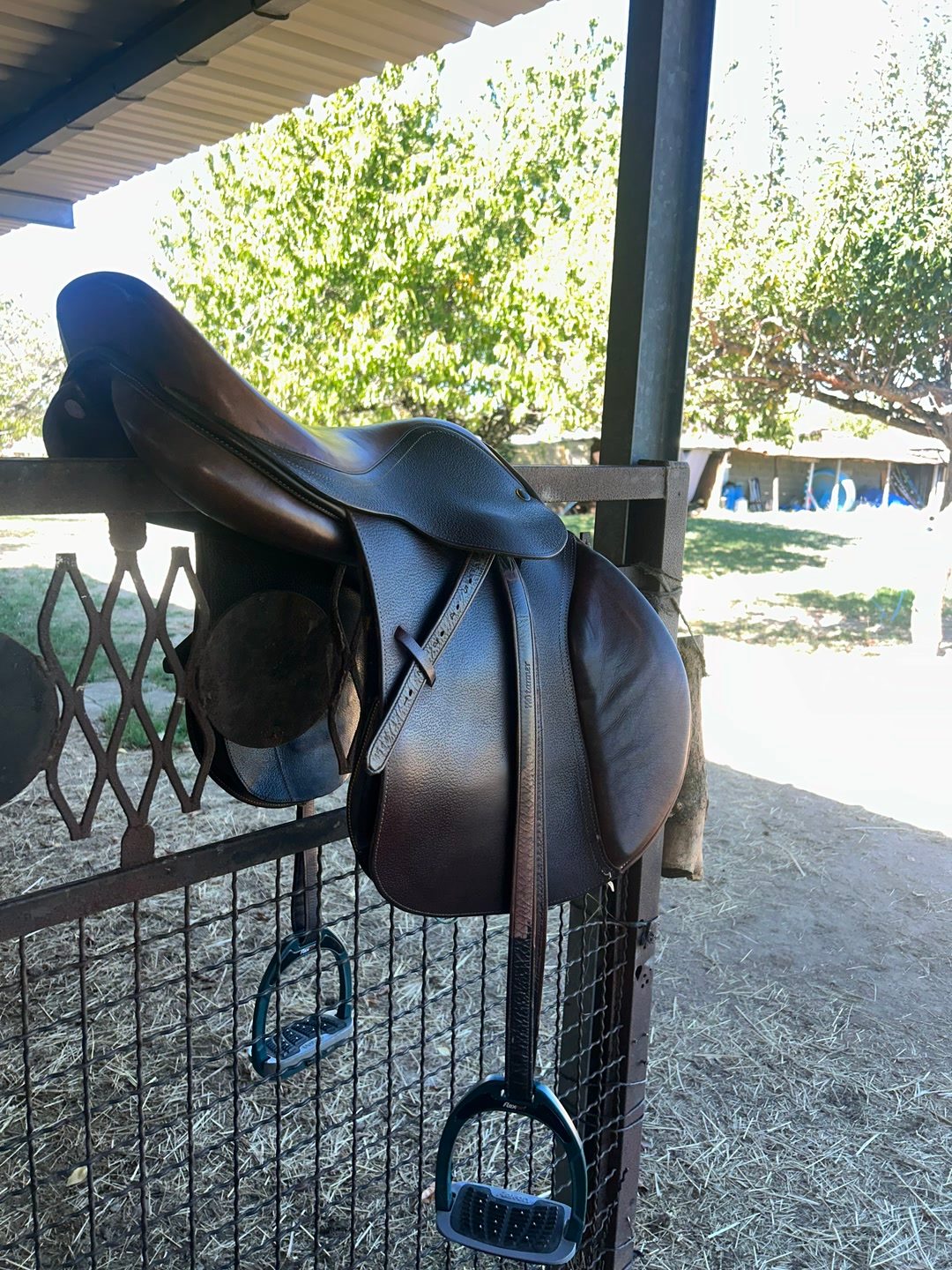 Selle Protaneur, média 3