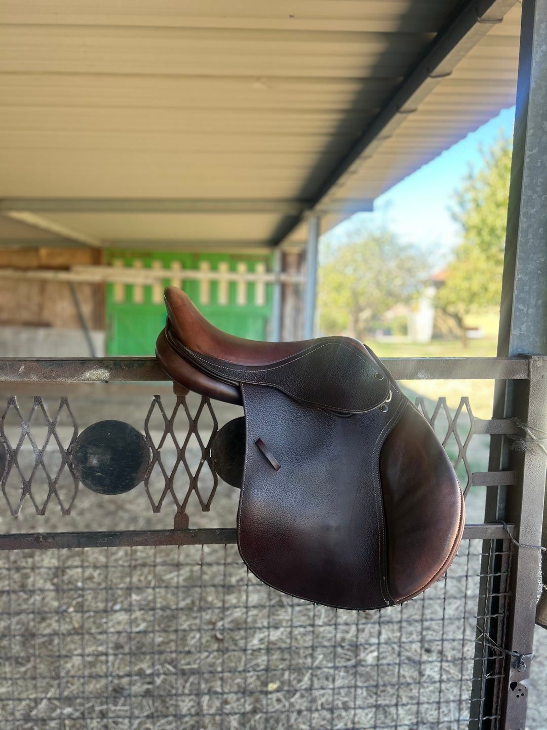 Selle Protaneur, média 4
