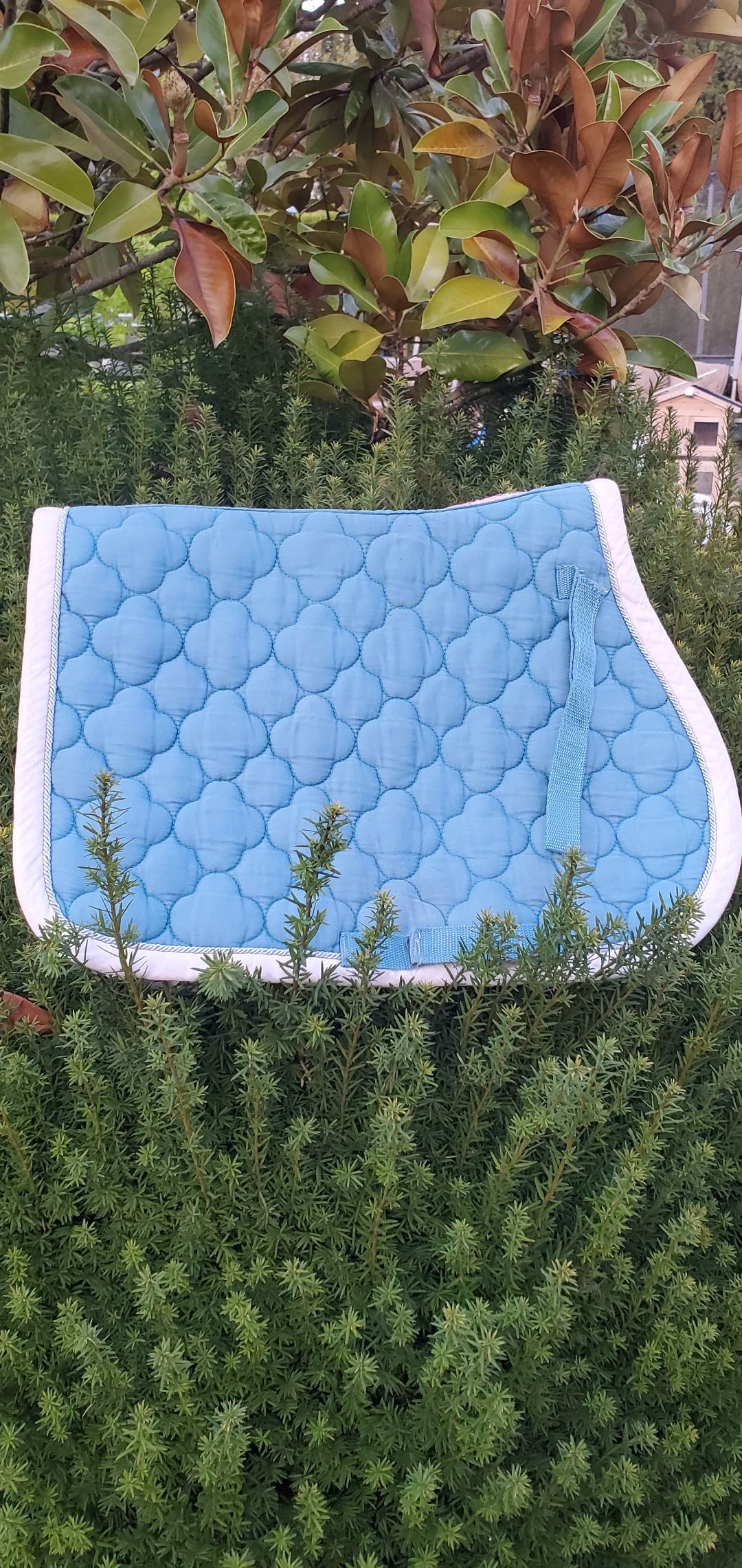 Tapis de selle shetland / poney A - Licorne, média 2