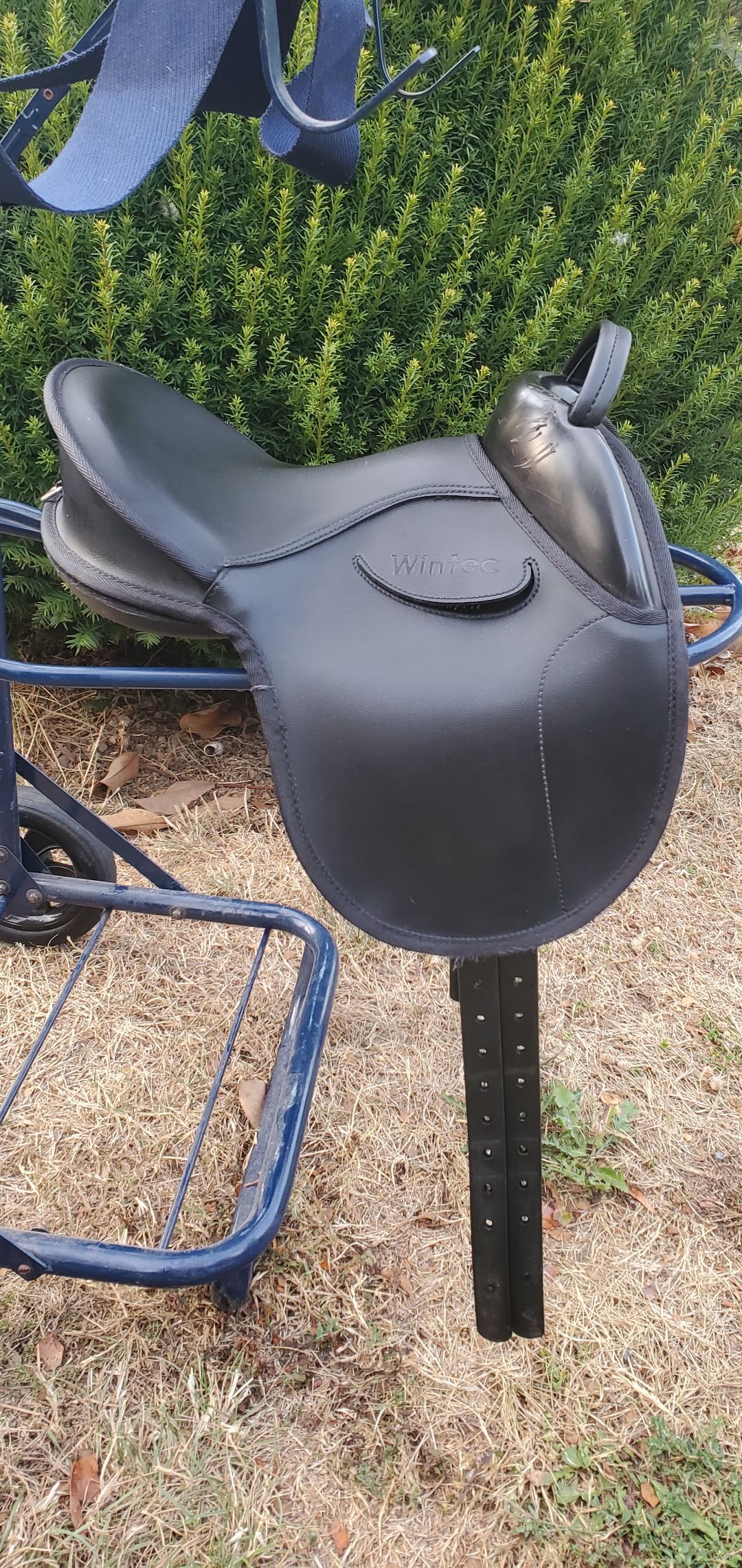 Bardette / selle poney Wintec, média 3