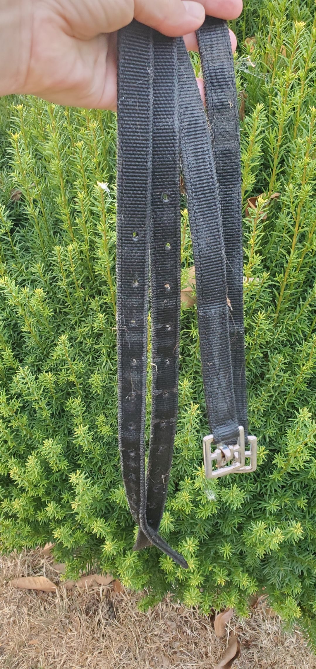 Bardette / selle poney Wintec, média 13