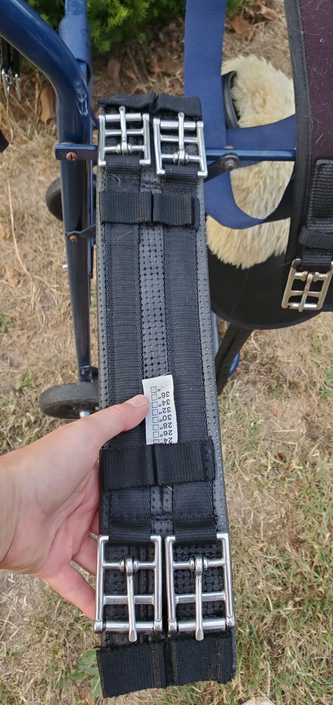 Bardette / selle poney Wintec, média 17