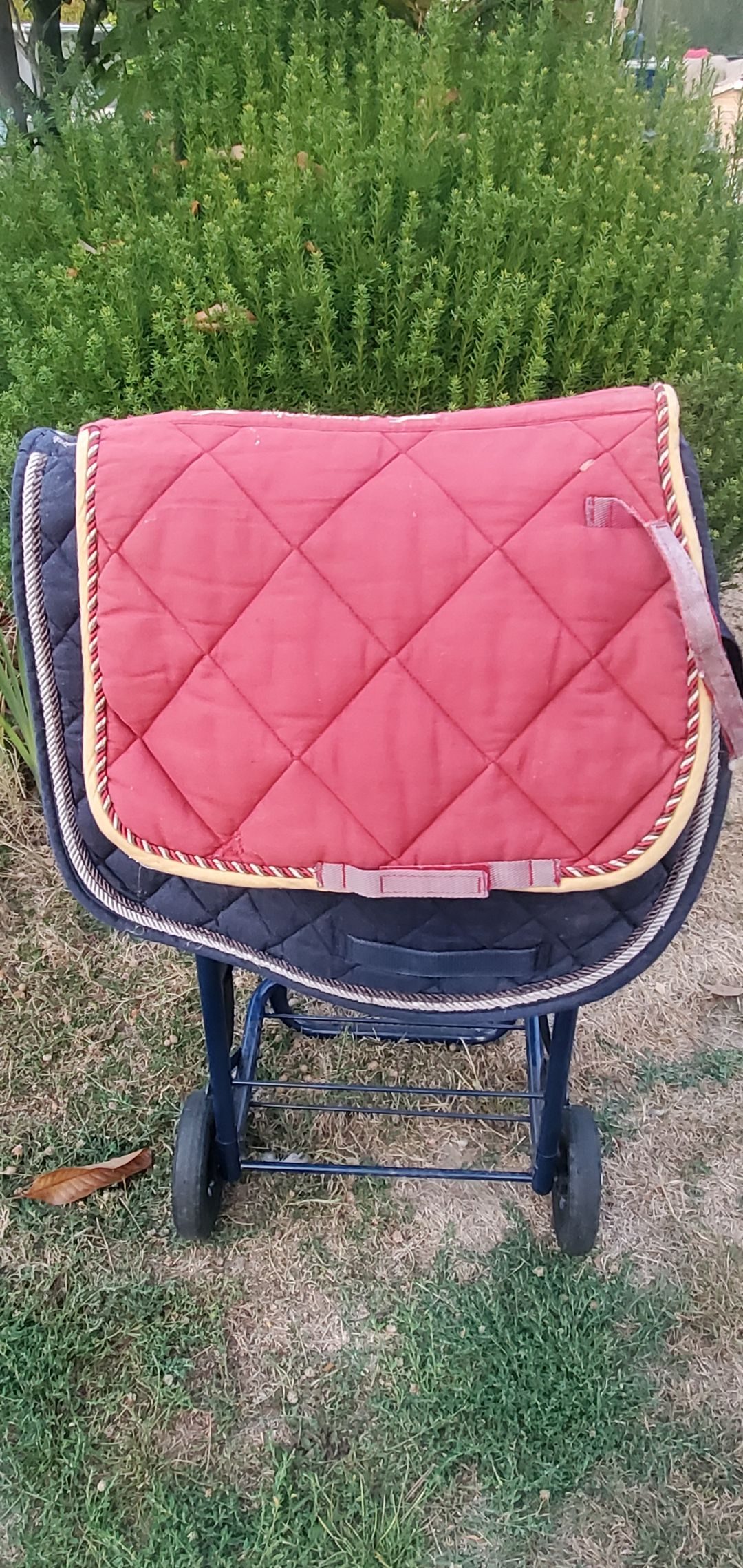 Bardette / selle poney Wintec, média 21