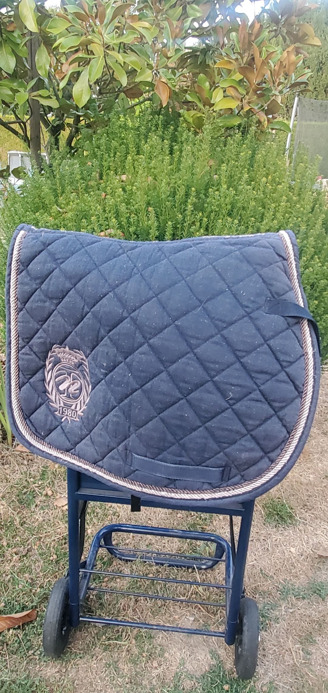 Bardette / selle poney Wintec, média 20