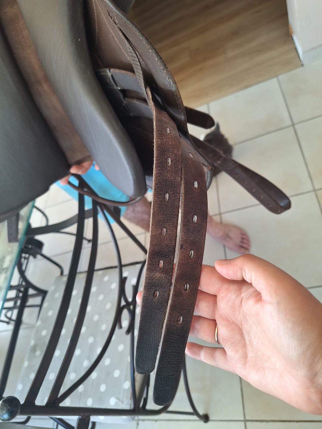 Selle Bardette, média 6