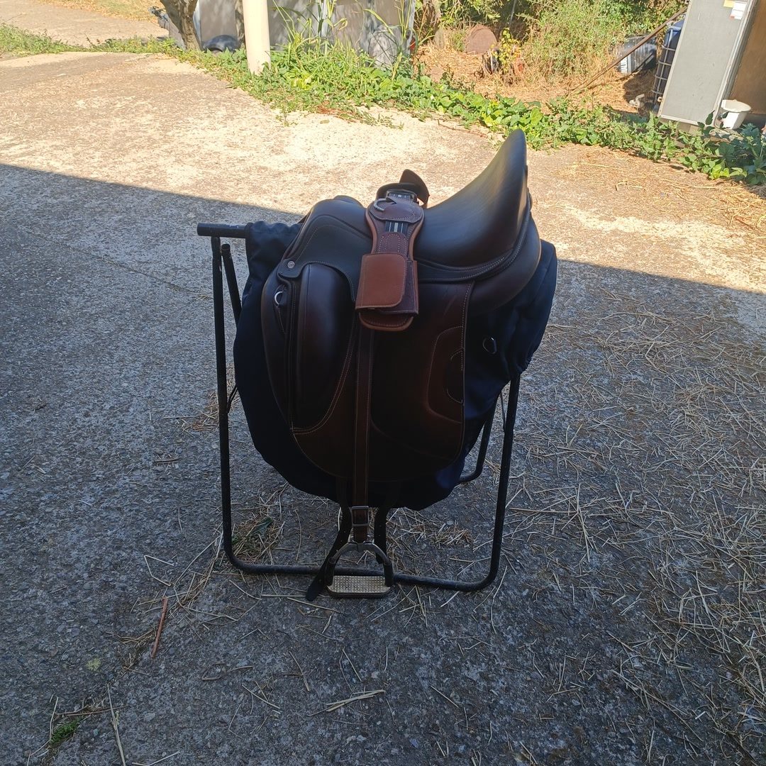 Selle antares tempo, média 5