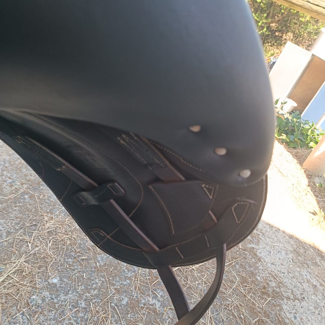 Selle antares tempo, média 3