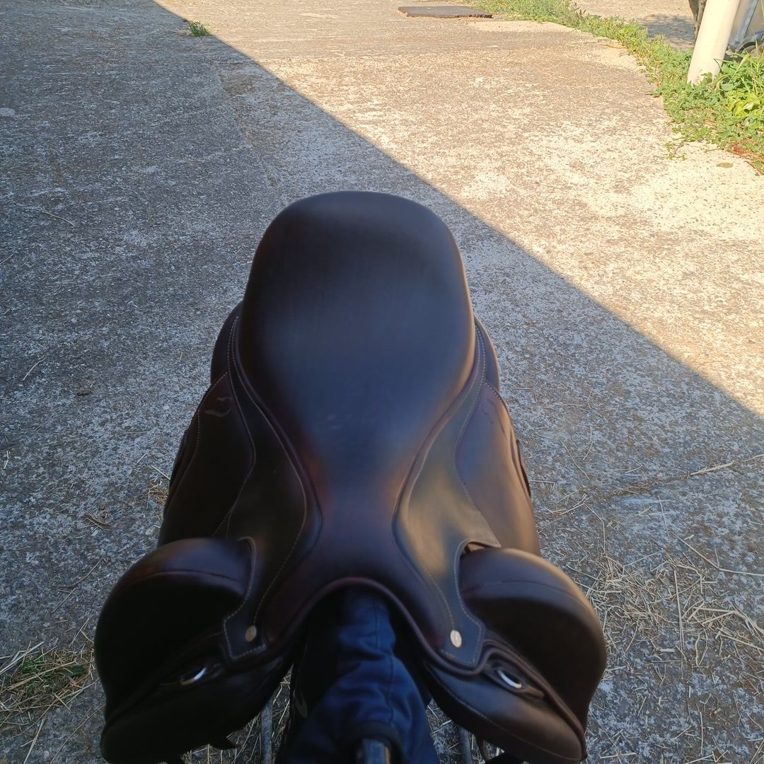 Selle antares tempo, média 9