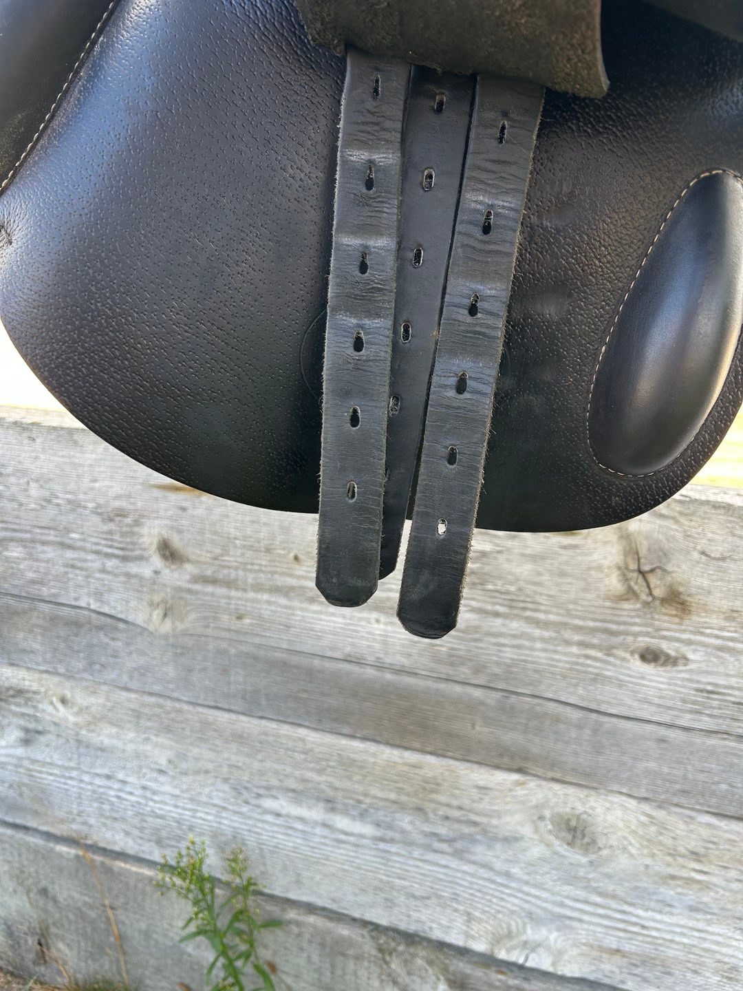 Selle prestige Versailles, média 3