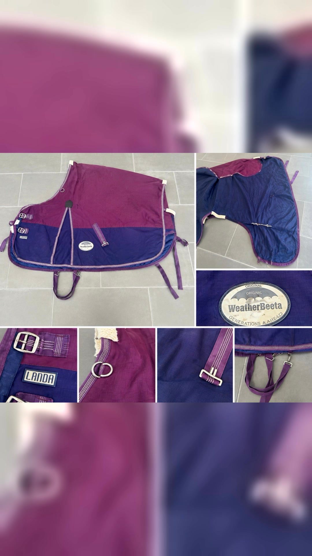 Couverture d’écurie WeatherBeeta Landa – Violet / Bleu marine, média 4