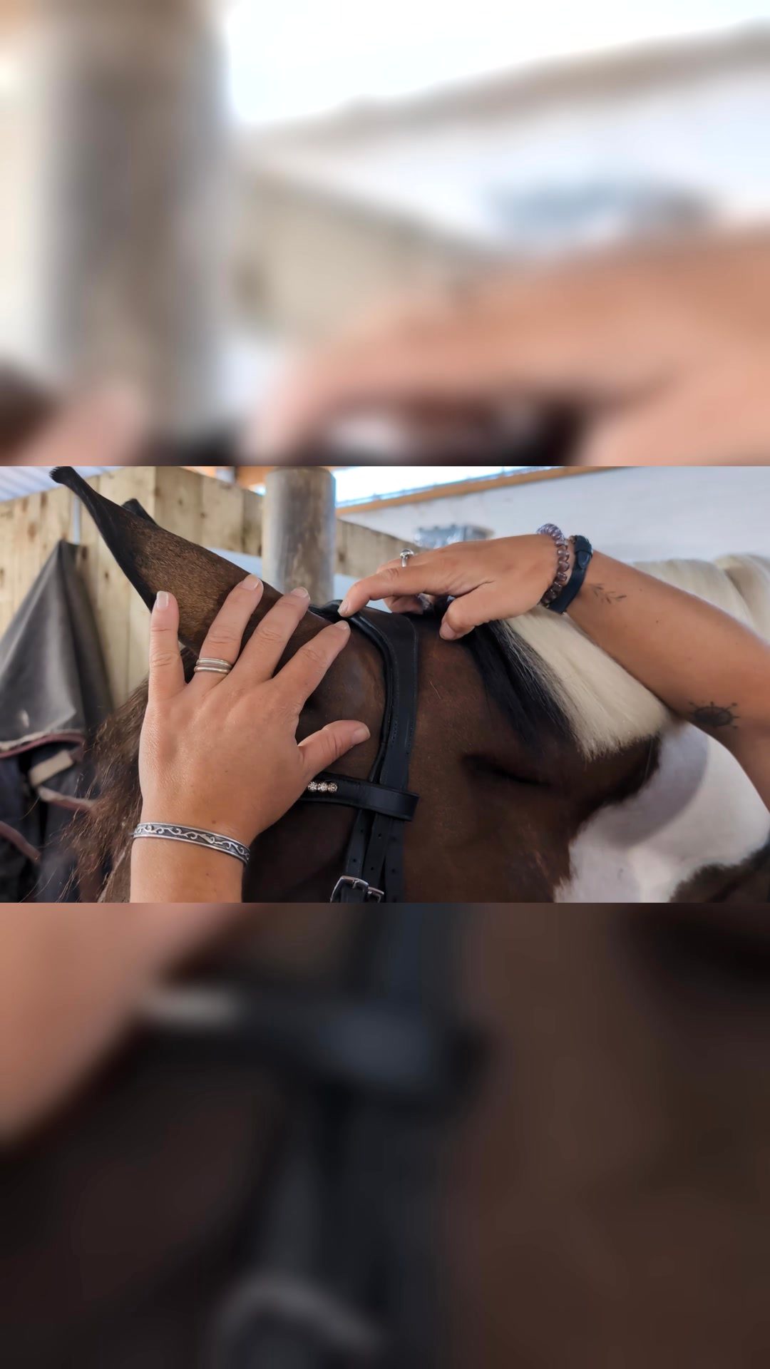 Bit et Bridle Fitting, média 3
