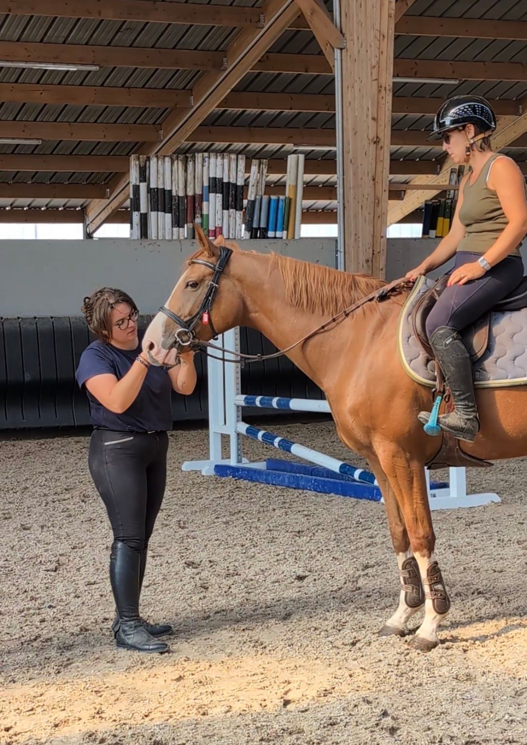 Bit et Bridle Fitting, média 2