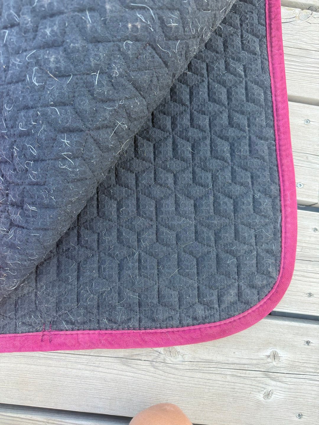 Tapis Kentucky fuschia, média 4