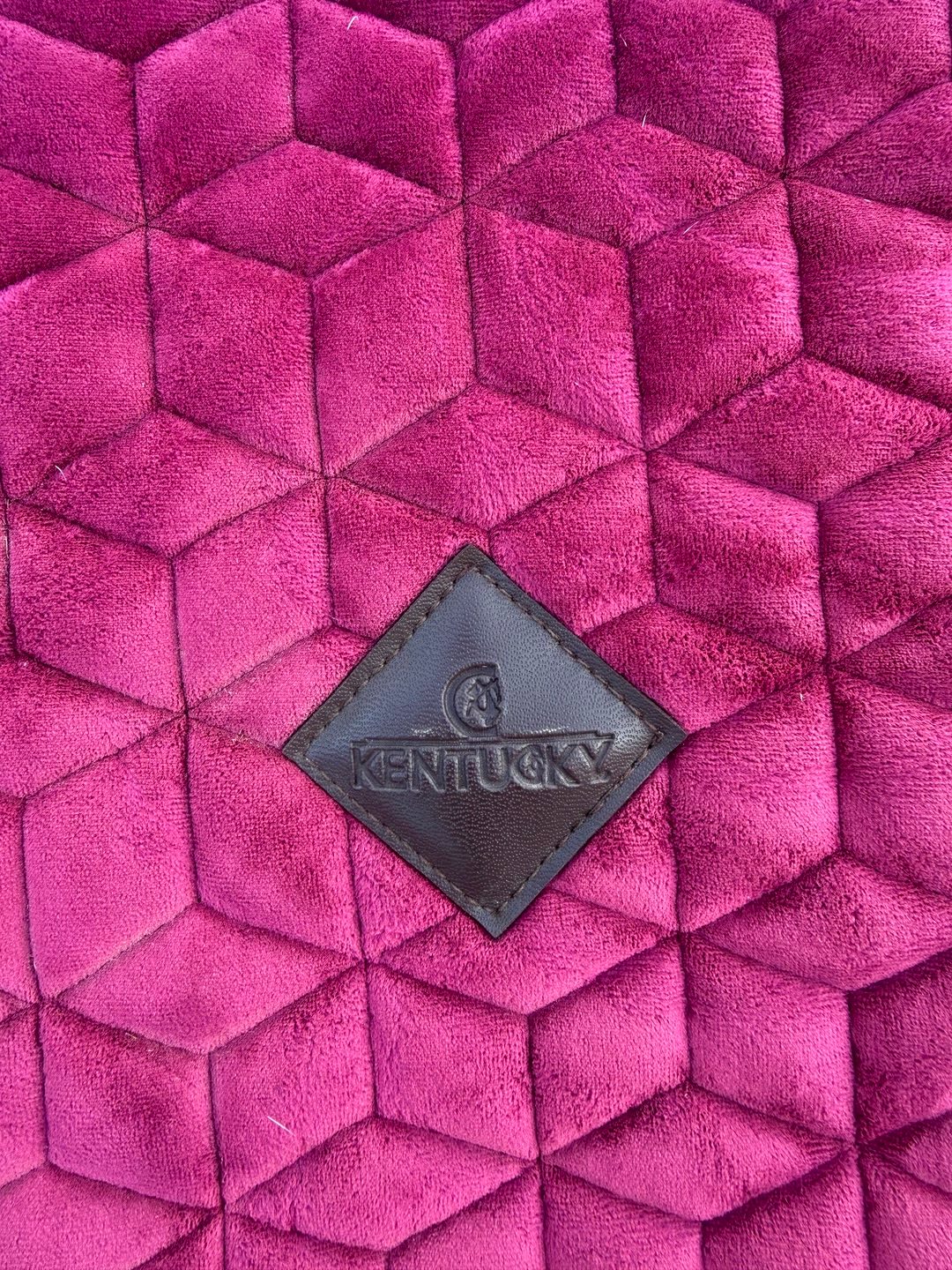 Tapis Kentucky fuschia, média 3