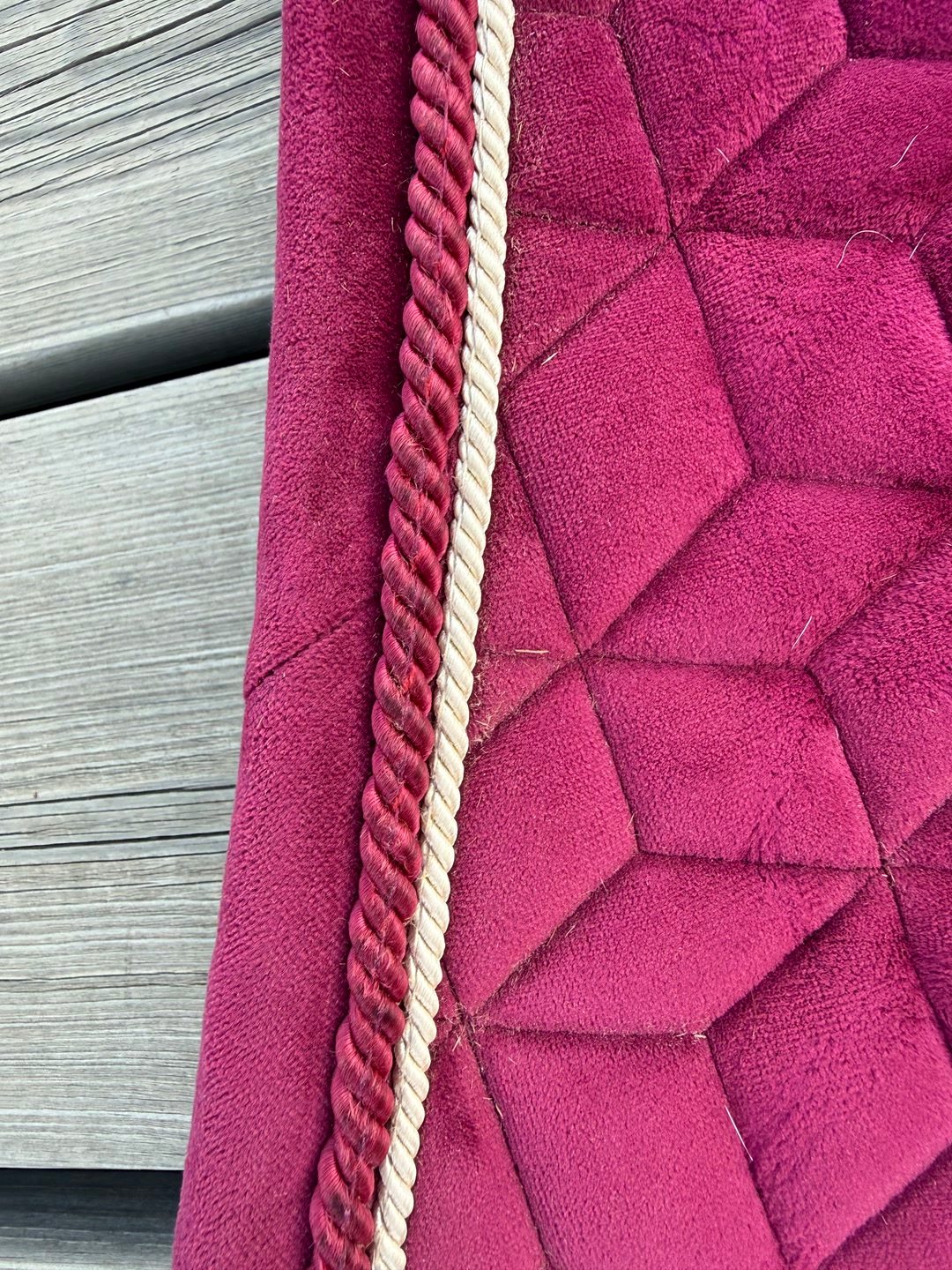 Tapis Kentucky fuschia, média 5