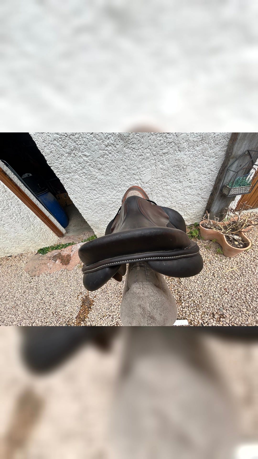 Selle 17’, média 6