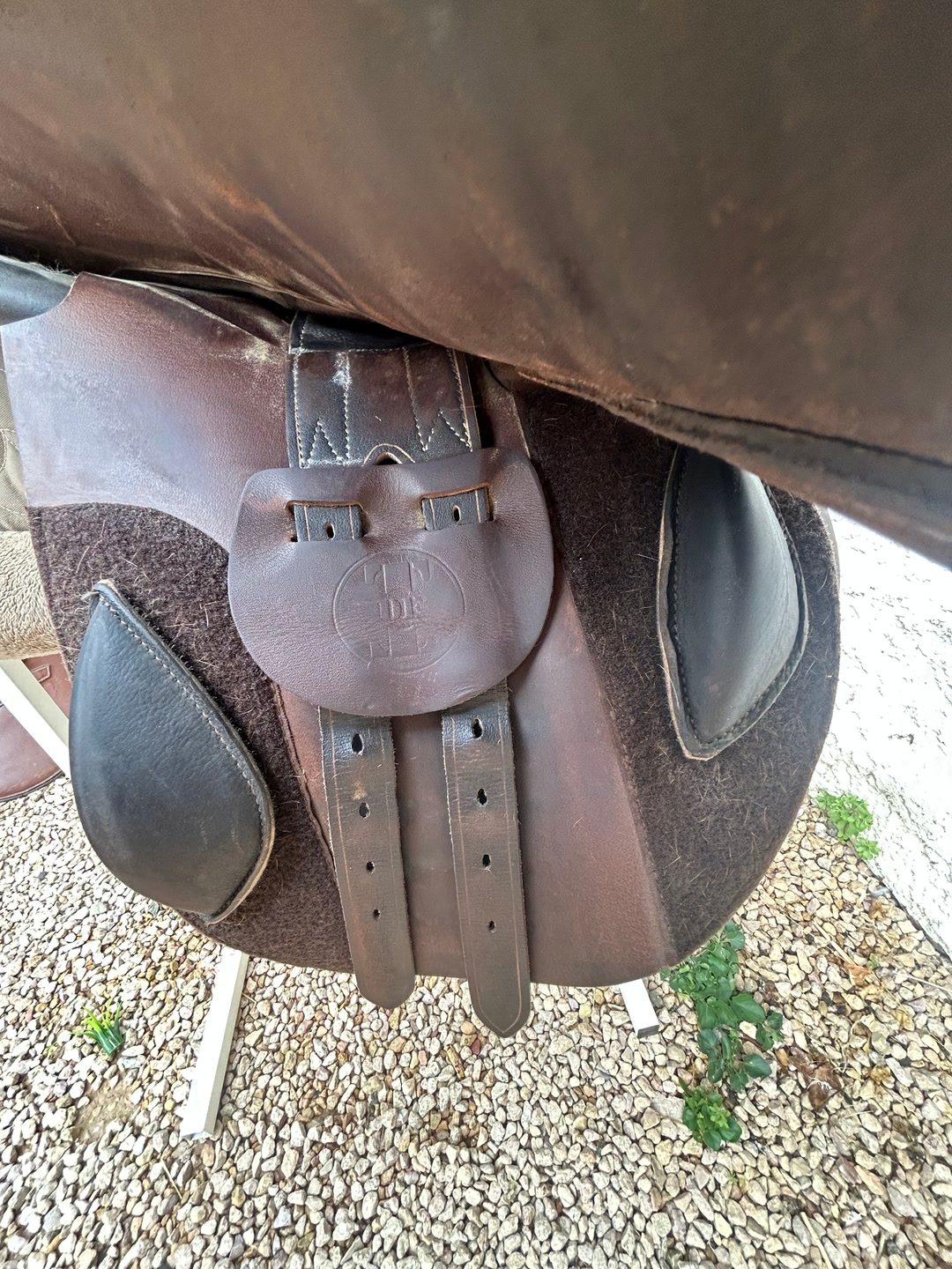 Selle 17’, média 5