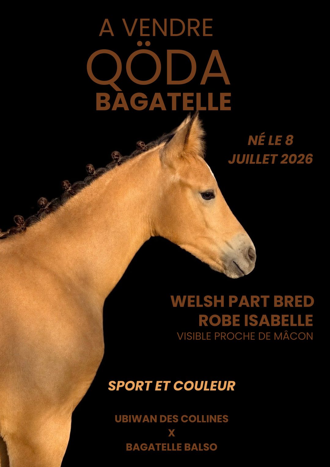 QÖDA BAGATELLE, média 2