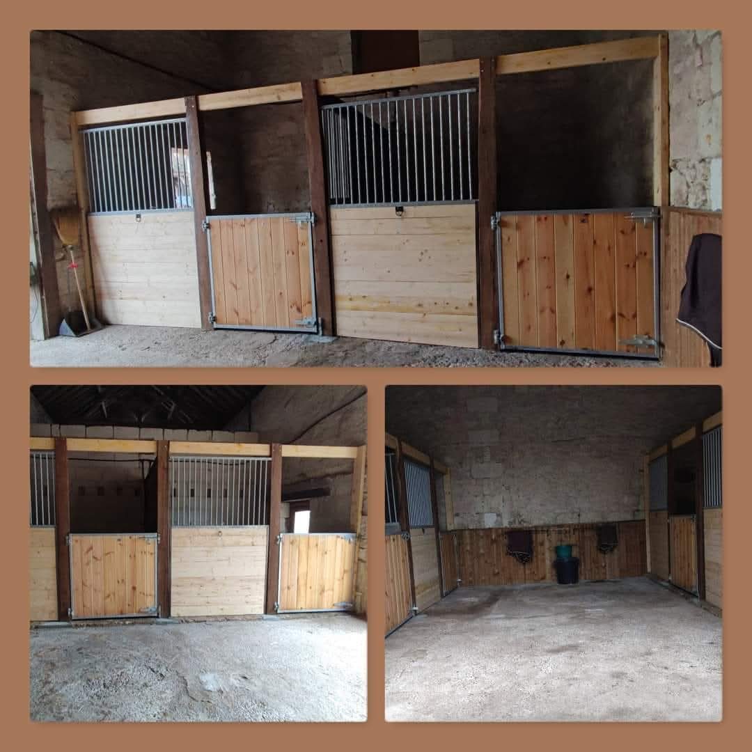 Pension chevaux et poneys, média 4