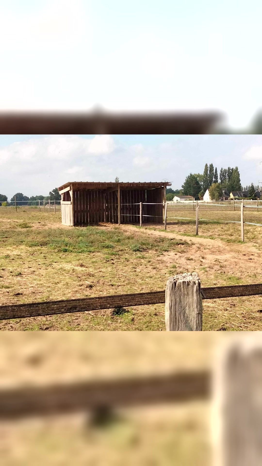 Pension chevaux et poneys, média 6