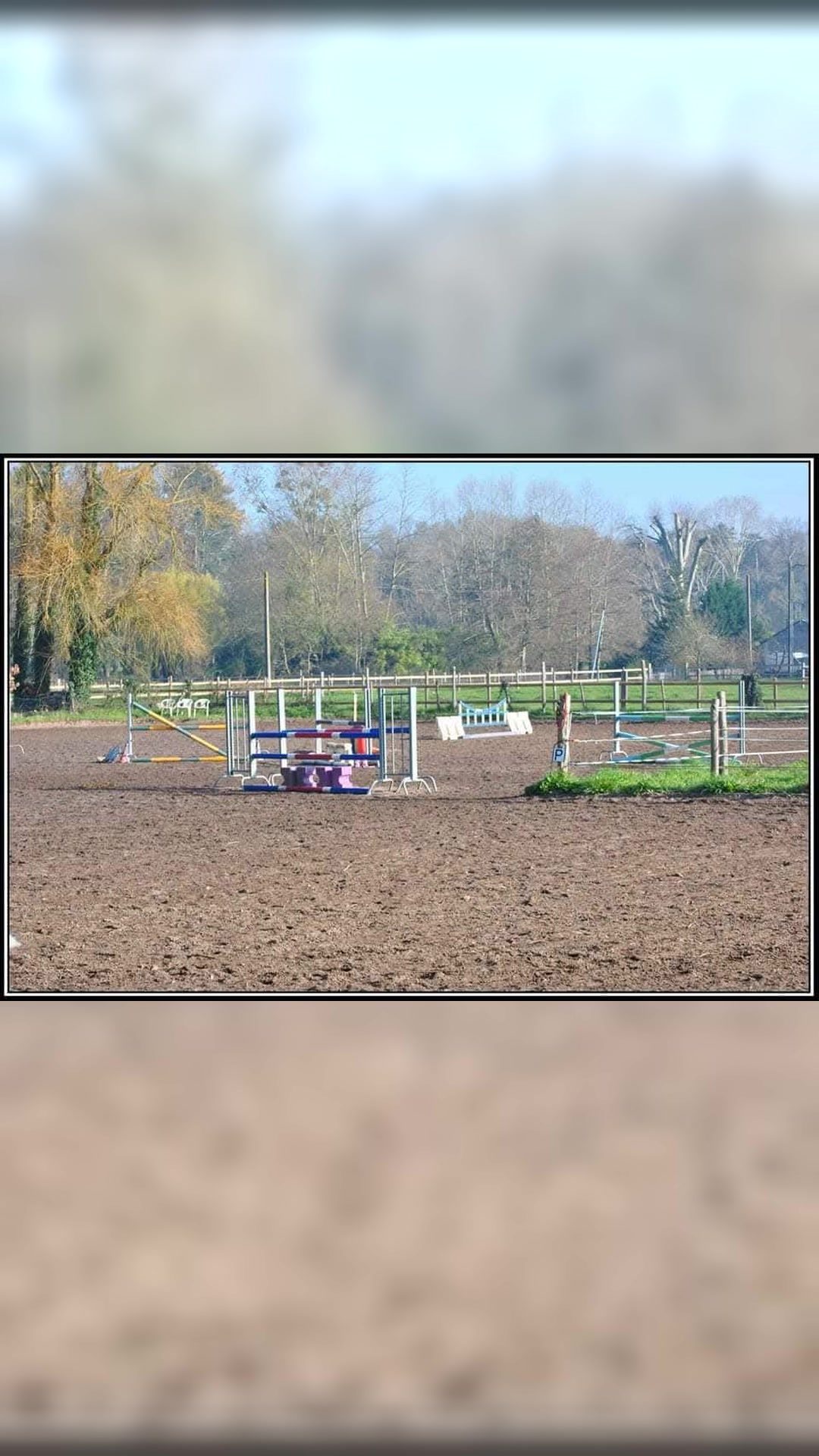 Pension chevaux et poneys, média 5