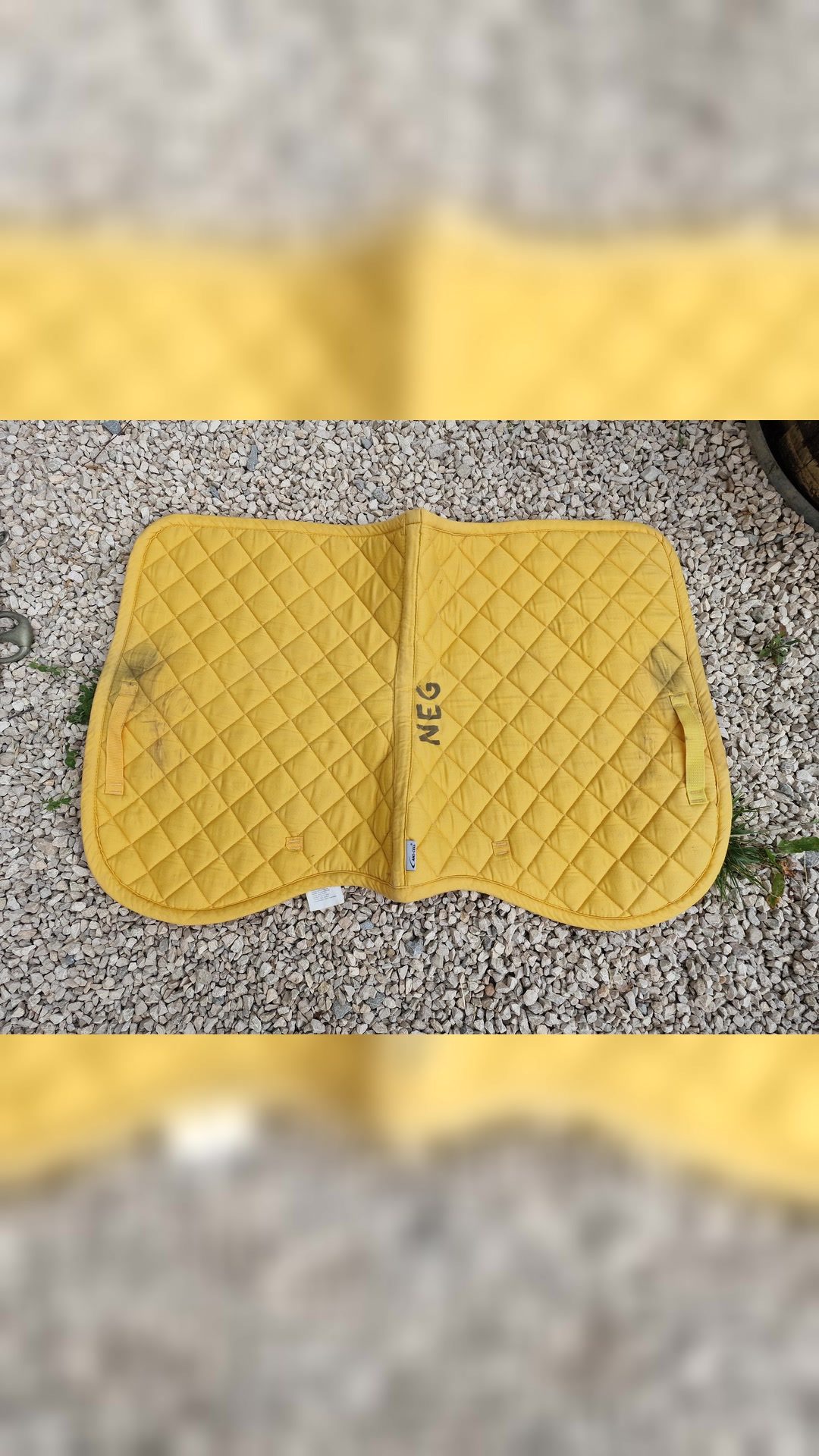 Tapis cheval, média 3