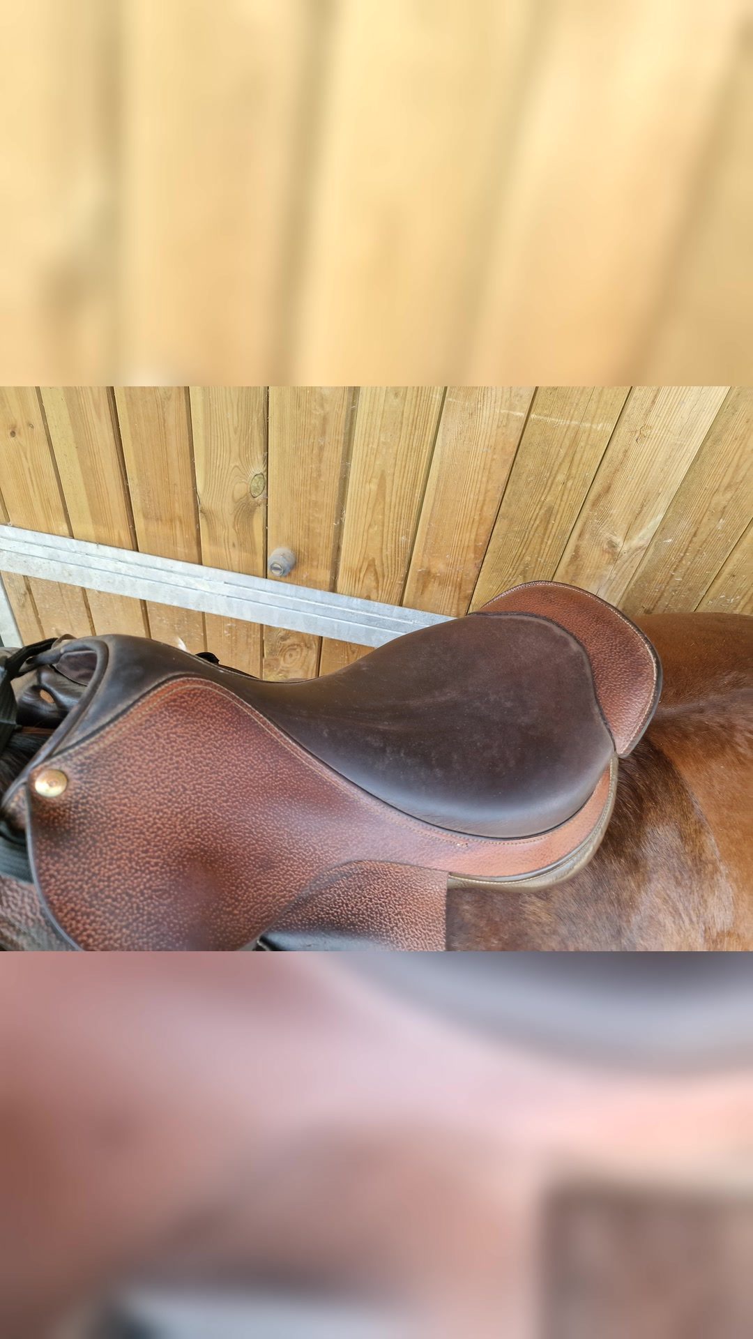 Selle cheval 17.5 pouces, média 7