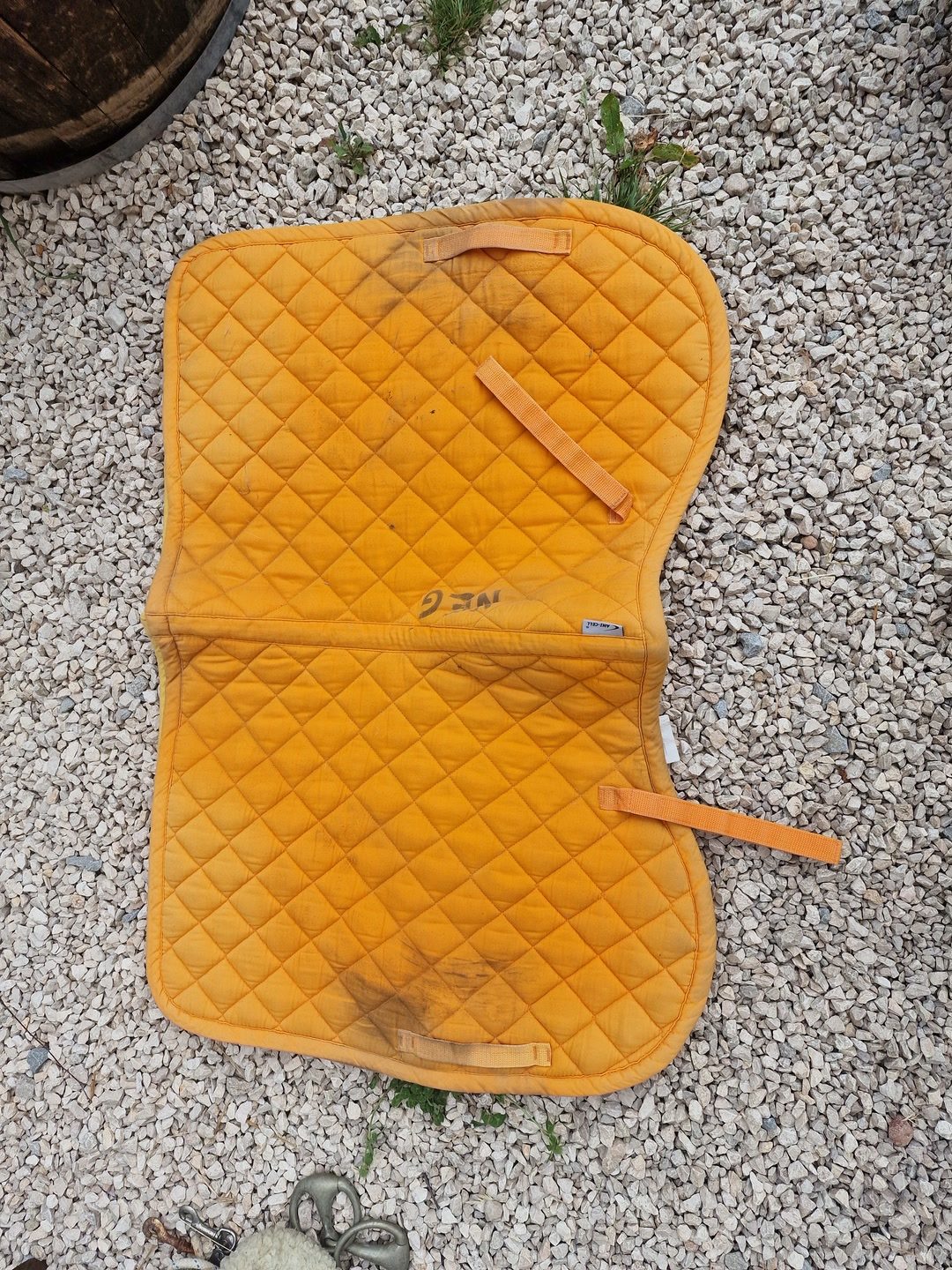 Tapis cheval, média 2