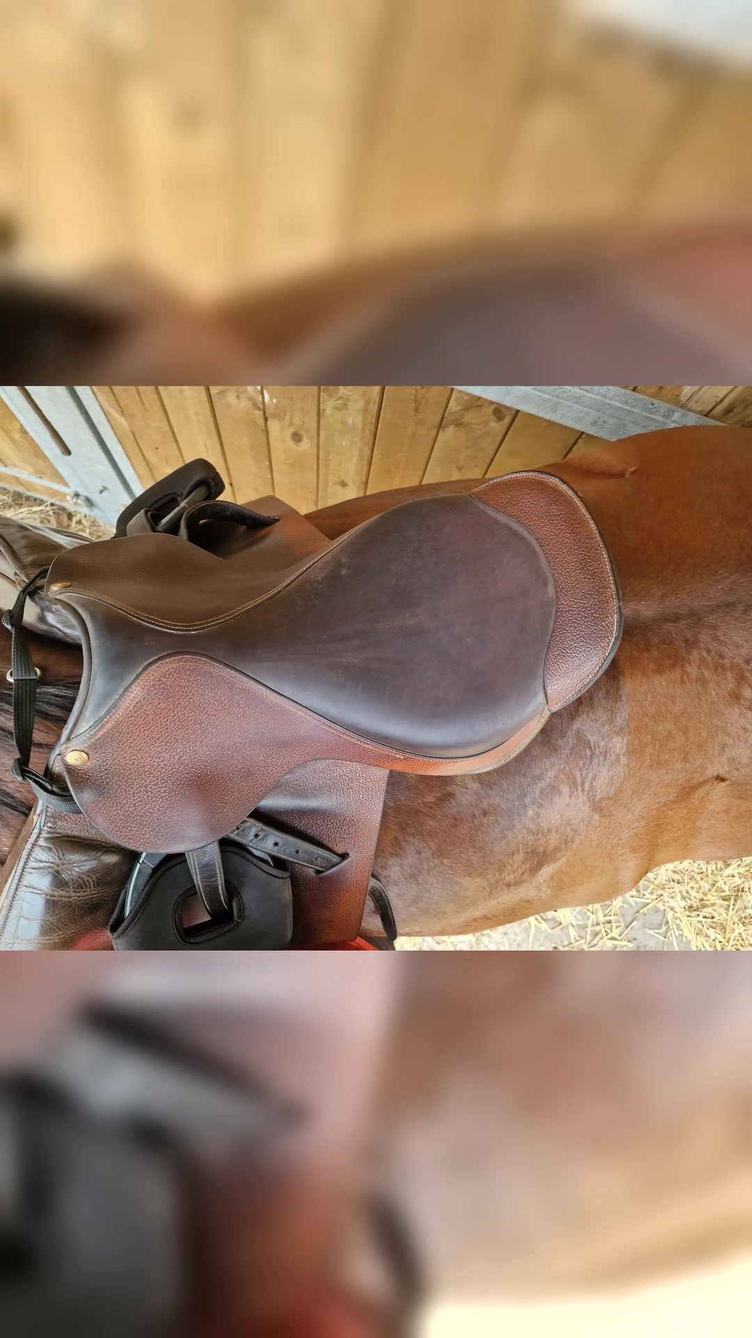 Selle cheval 17.5 pouces, média 5