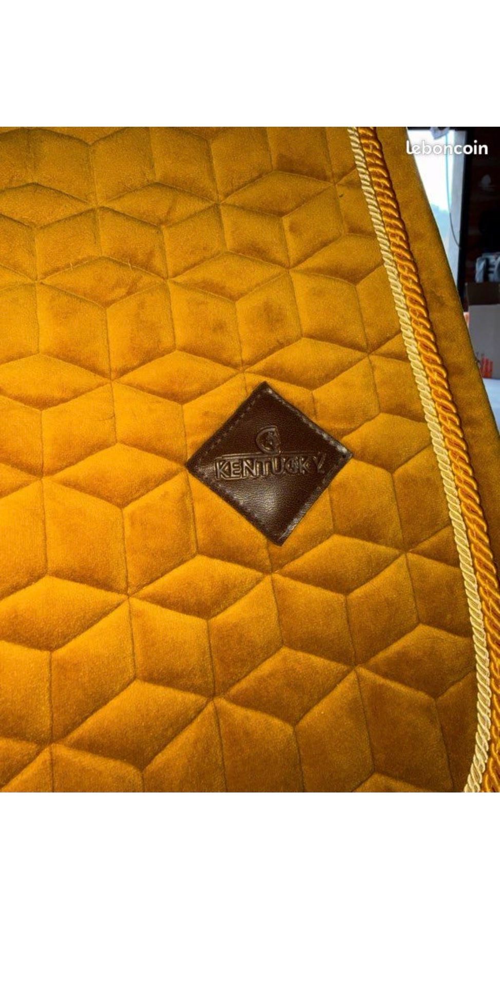 Tapis Kentucky Velvet, média 2