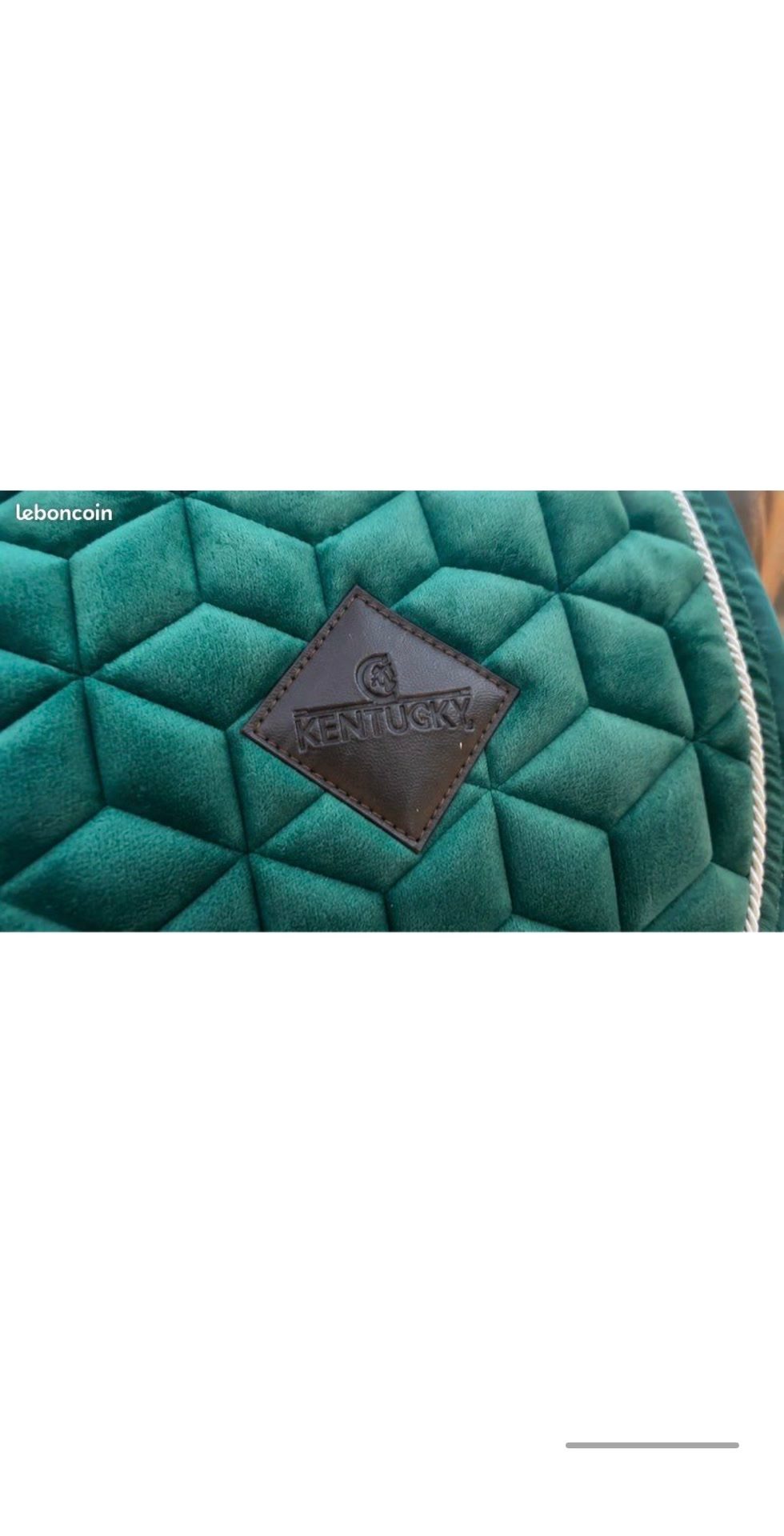 Tapis Kentucky Velvet, média 4