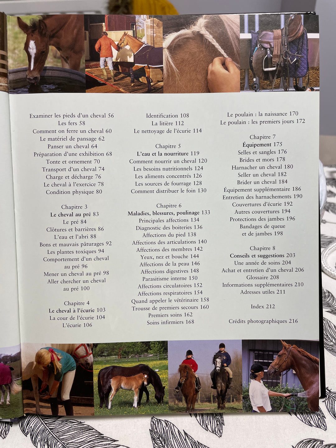 Livre : soins aux chevaux, média 3