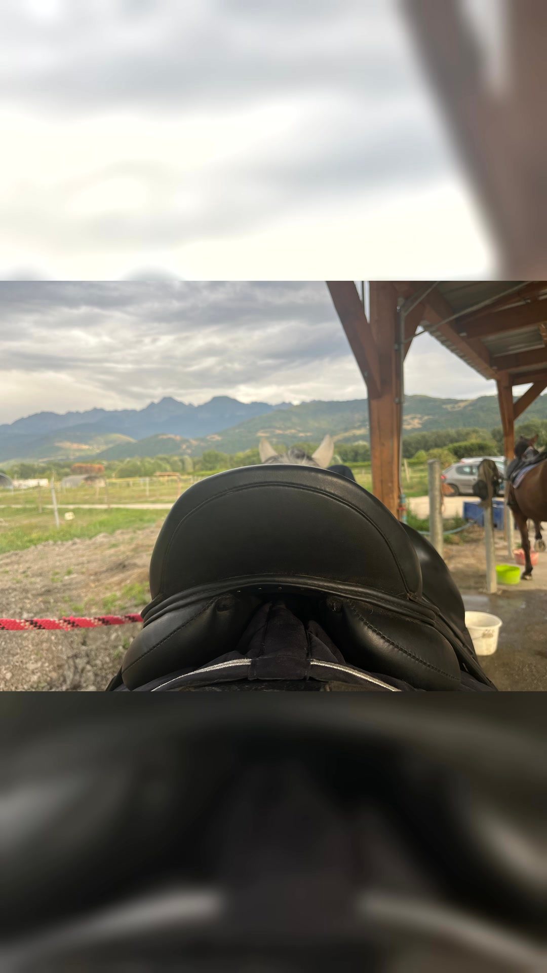 Selle de dressage Antares, média 2