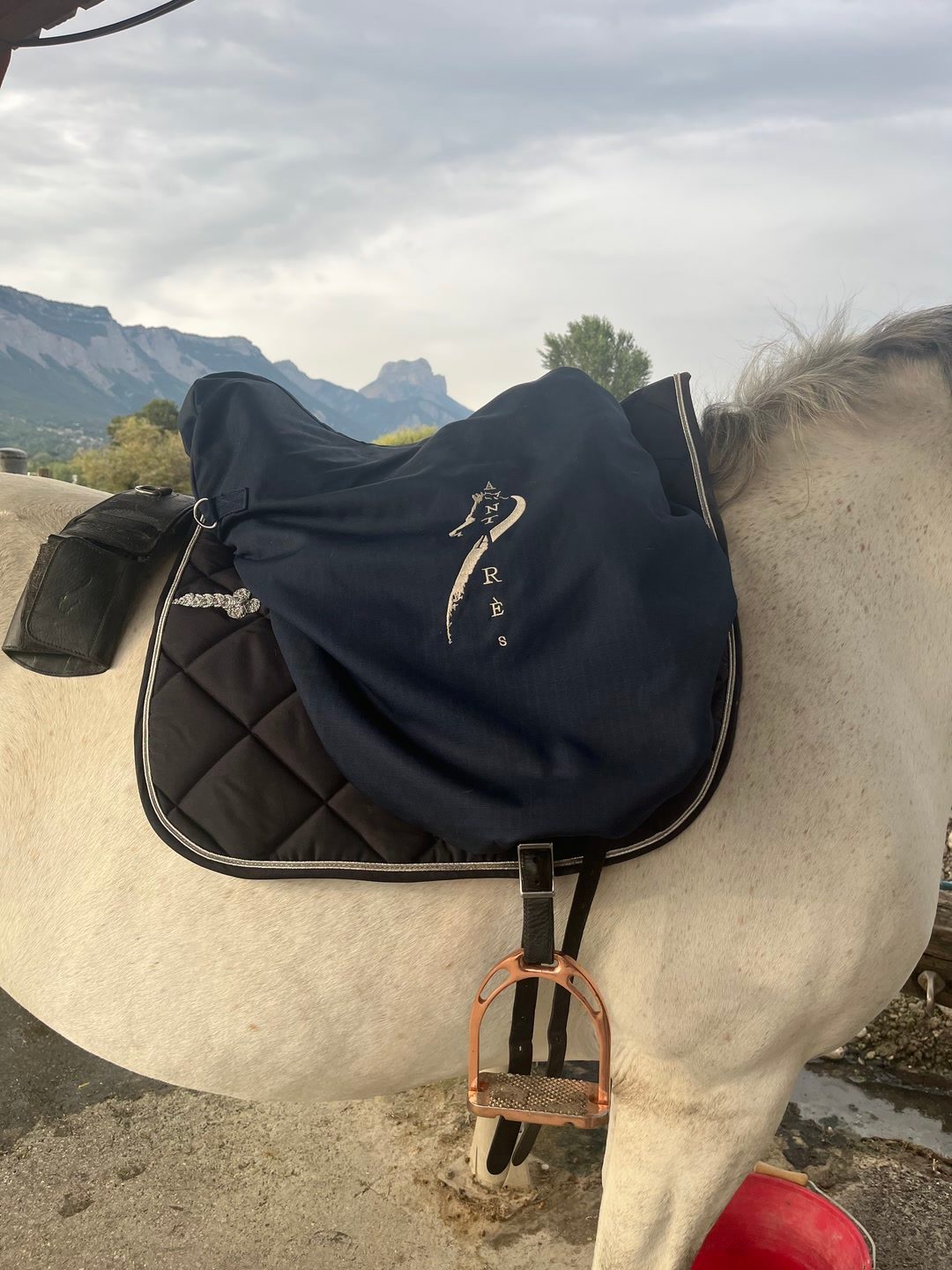 Selle de dressage Antares, média 4