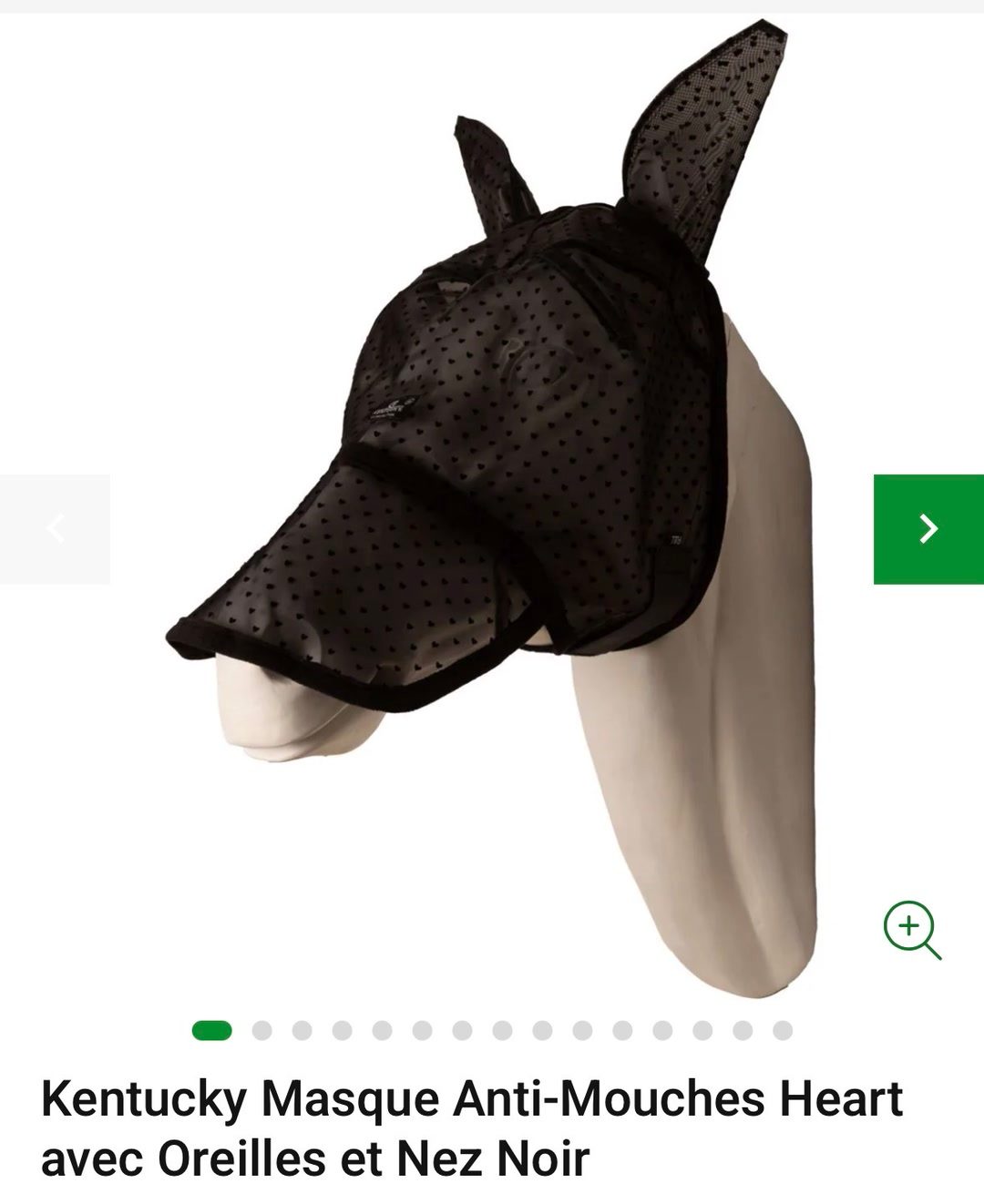 Masque anti mouche Kentucky, média 2