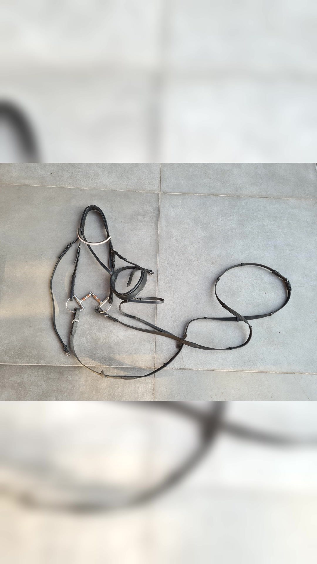 Bridon cuir noir et strass, média 4